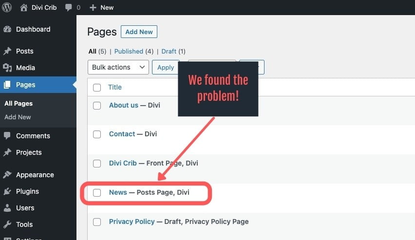 The Posts Page in WordPress